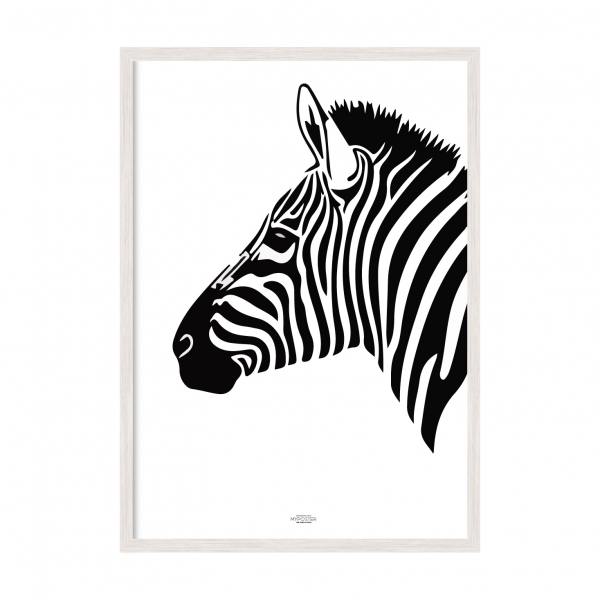 Zebra.