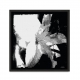 Flowers.