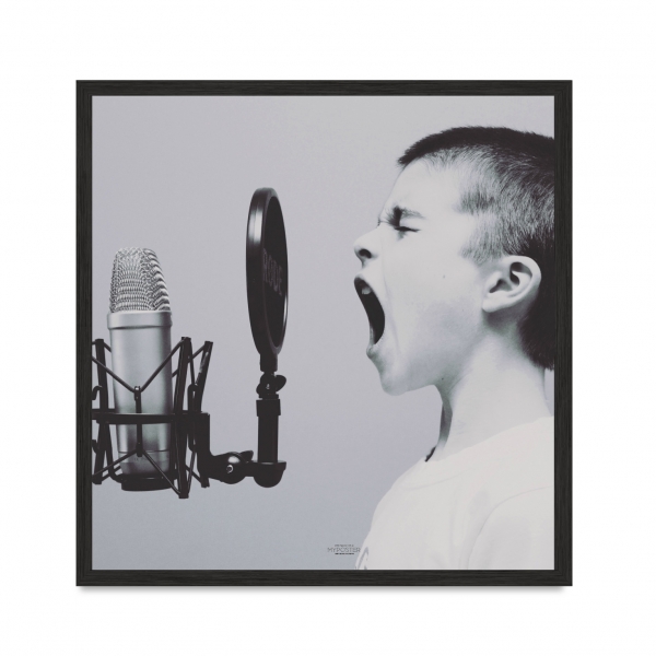 Voice.