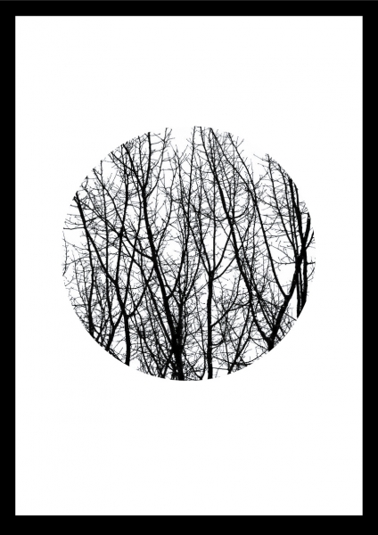 Постер "Forest"